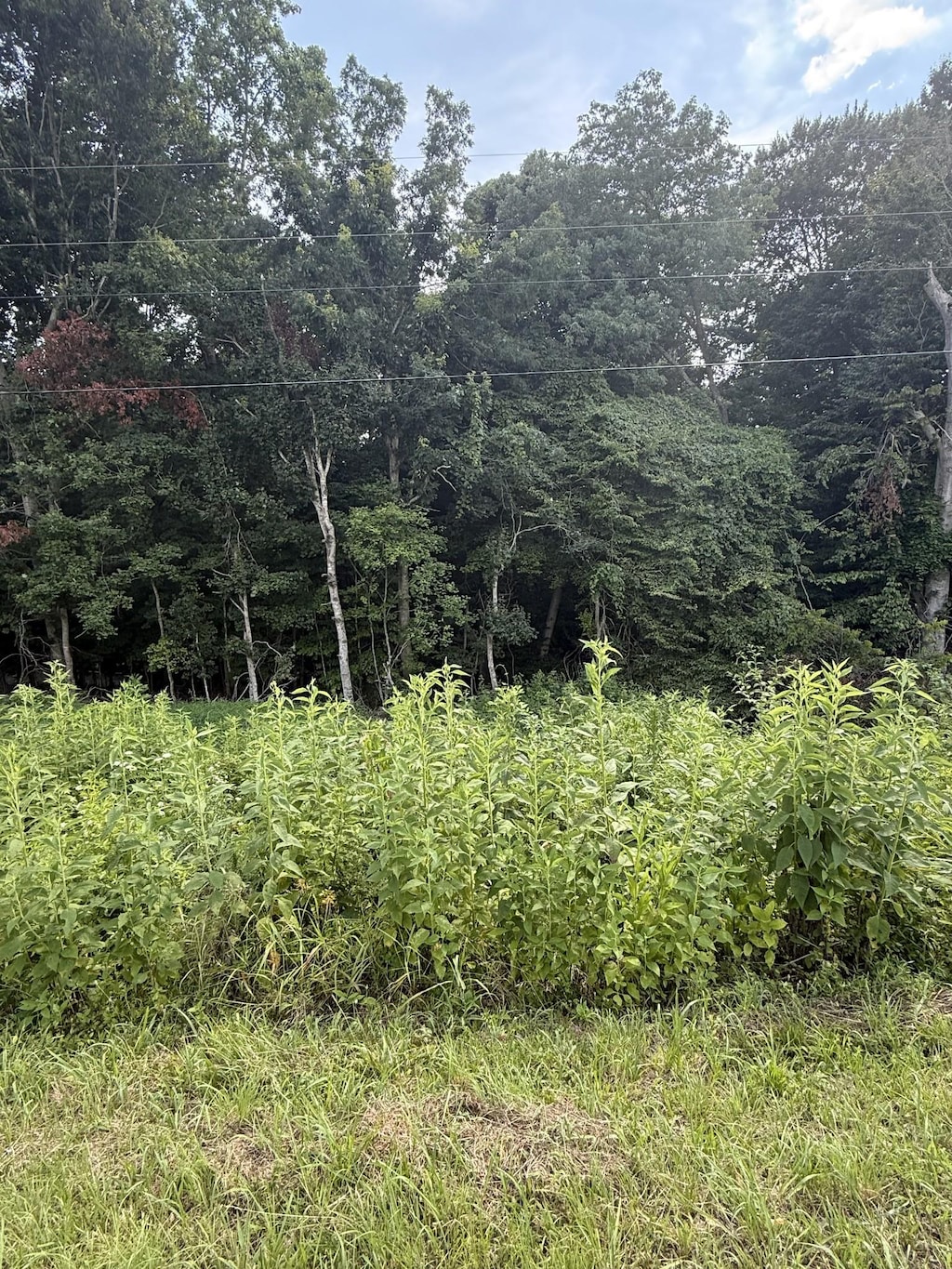 0 Reed Rd, Indian Mound, TN 37079