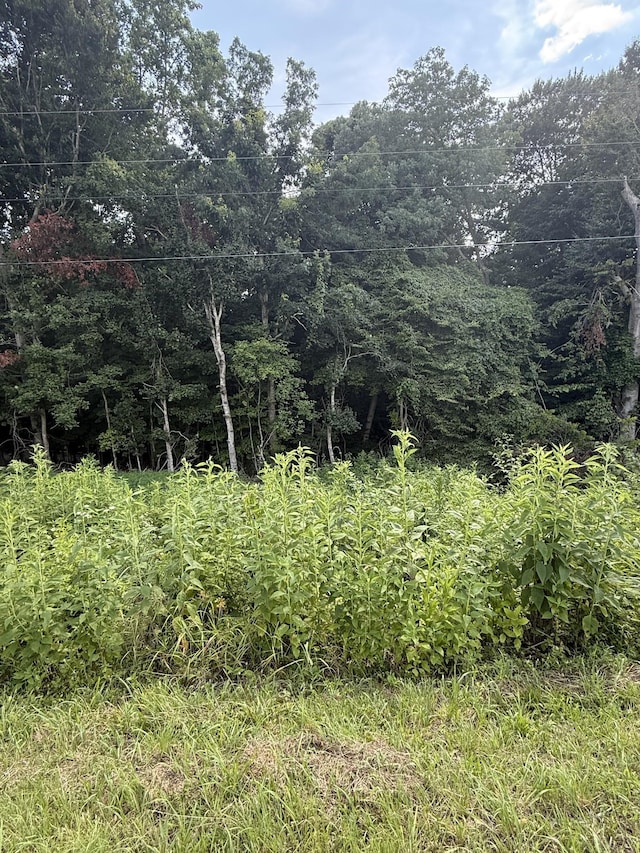 0 Reed Rd, Indian Mound, TN 37079