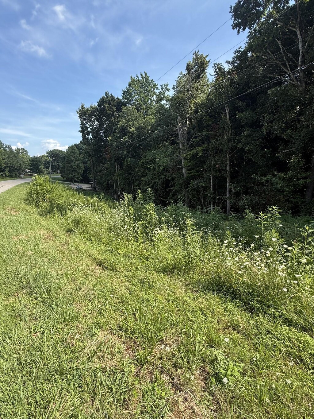 0 Reed Rd, Indian Mound, TN 37079