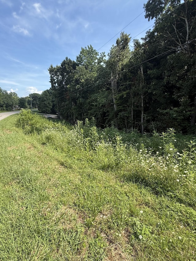 0 Reed Rd, Indian Mound, TN 37079