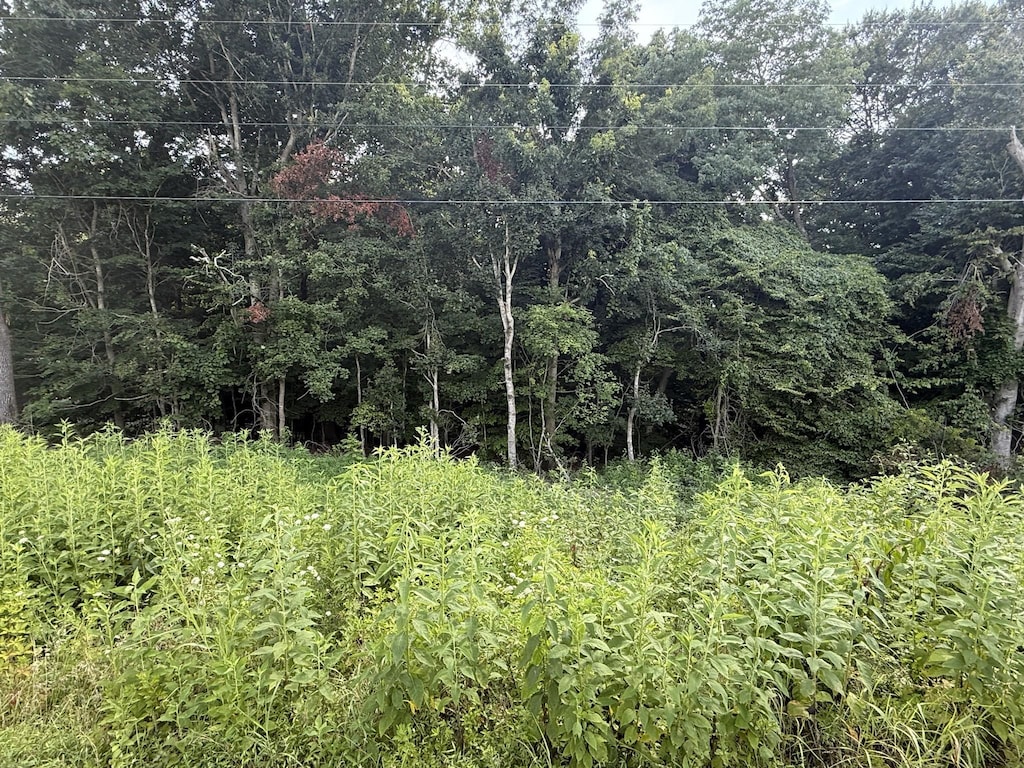 0 Reed Rd, Indian Mound, TN 37079
