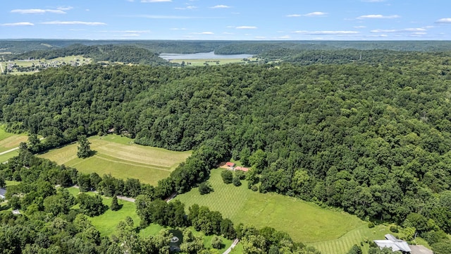 330 Cascade Hollow Rd, Normandy, TN 37360 - aerial view of a heavily wooded area and a large body of water