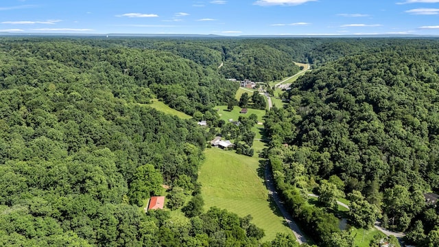 330 Cascade Hollow Rd, Normandy, TN 37360 - aerial view of property and surrounding area featuring a forest
