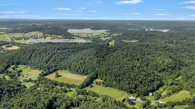 330 Cascade Hollow Rd, Normandy, TN 37360 - aerial overview of property's location with a heavily wooded area