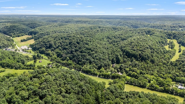 330 Cascade Hollow Rd, Normandy, TN 37360 - aerial view of a forest