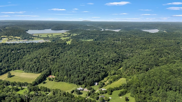 330 Cascade Hollow Rd, Normandy, TN 37360 - aerial view of property's location featuring a forest and a large body of water