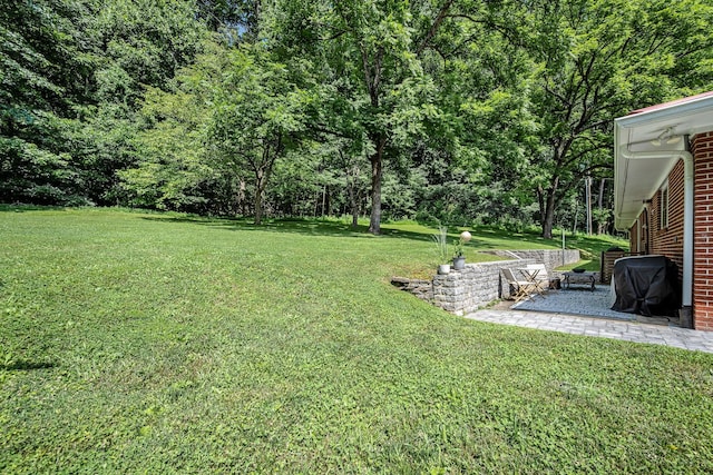 330 Cascade Hollow Rd, Normandy, TN 37360 - view of green lawn featuring a patio