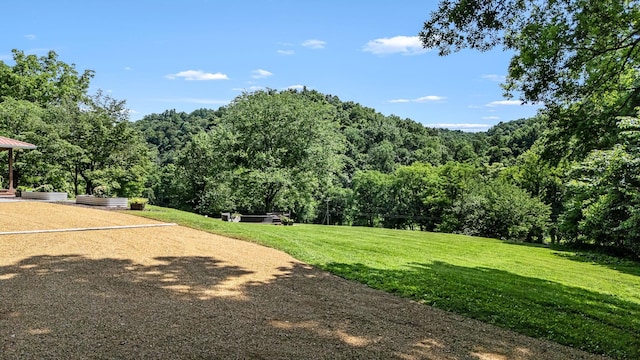 330 Cascade Hollow Rd, Normandy, TN 37360 - view of green lawn featuring a forest view