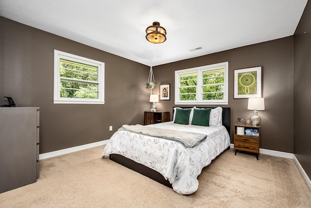 330 Cascade Hollow Rd, Normandy, TN 37360 - bedroom featuring light colored carpet