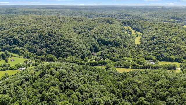 330 Cascade Hollow Rd, Normandy, TN 37360 - bird's eye view of a heavily wooded area