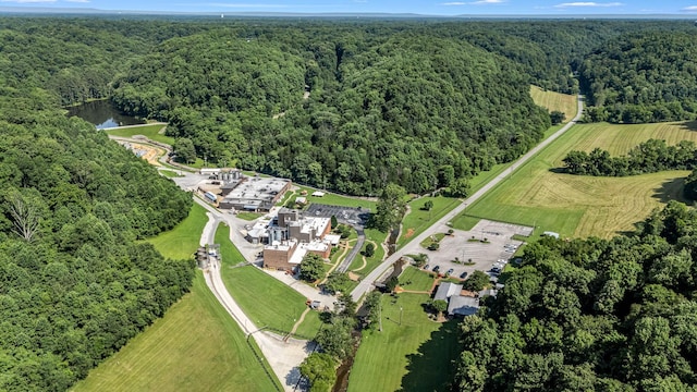 330 Cascade Hollow Rd, Normandy, TN 37360 - aerial overview of property's location featuring a heavily wooded area and a large body of water