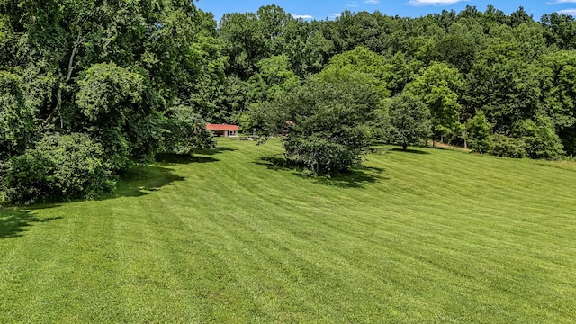 330 Cascade Hollow Rd, Normandy, TN 37360 - view of green lawn featuring a forest view