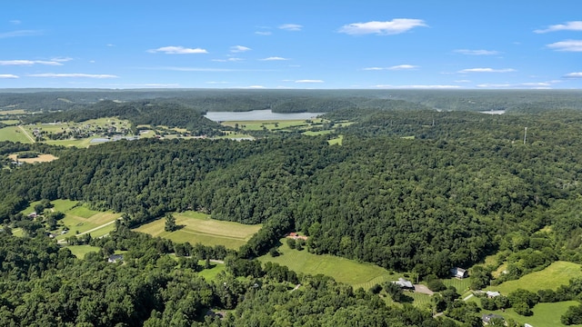 330 Cascade Hollow Rd, Normandy, TN 37360 - view of property location with a forest and a large body of water