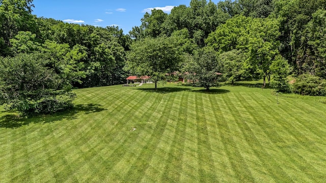 330 Cascade Hollow Rd, Normandy, TN 37360 - view of green lawn