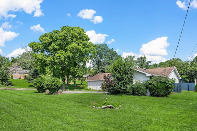 4052 Port Cleburne Ln, Hermitage, TN 37076 - view of yard
