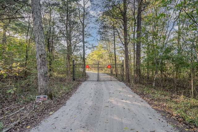 3875 Rockdale Fellowship Rd, Mount Juliet, TN 37122 - photo 5