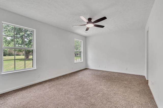 5614 Constantine Dr, Rockvale, TN 37153 - photo 22