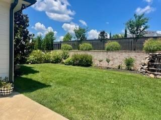 813 Stonewater Blvd, Franklin, TN 37064 - view of yard
