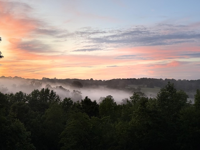779 Dogwood Dr, Erin, TN 37061 - view of mountain backdrop with a heavily wooded area