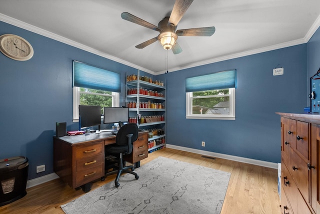 779 Dogwood Dr, Erin, TN 37061 - office area featuring a ceiling fan, wood finished floors, and crown molding