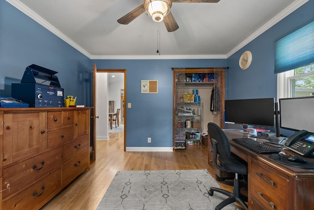 779 Dogwood Dr, Erin, TN 37061 - office space with a ceiling fan, wood finished floors, and ornamental molding