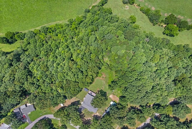 779 Dogwood Dr, Erin, TN 37061 - aerial view of property's location with a forest