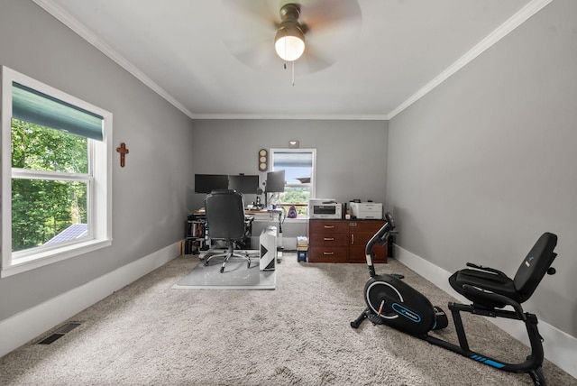 779 Dogwood Dr, Erin, TN 37061 - carpeted office space with crown molding and ceiling fan