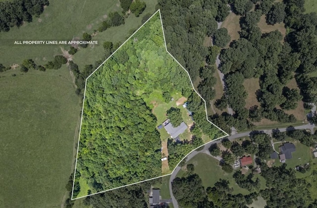 779 Dogwood Dr, Erin, TN 37061 - aerial overview of property's location with property boundaries highlighted