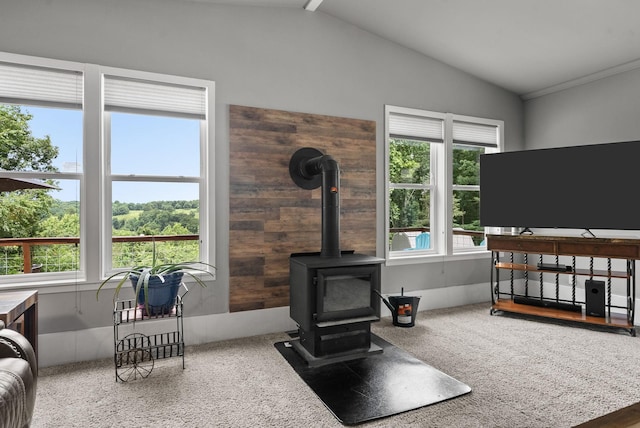 779 Dogwood Dr, Erin, TN 37061 - bedroom with lofted ceiling, a wood stove, and carpet floors