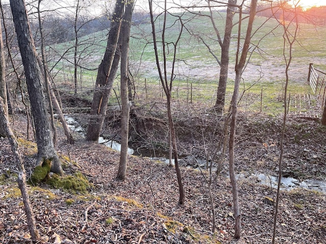 779 Dogwood Dr, Erin, TN 37061 - view of local wilderness