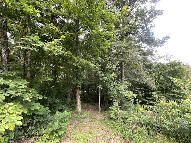 779 Dogwood Dr, Erin, TN 37061 - view of nature