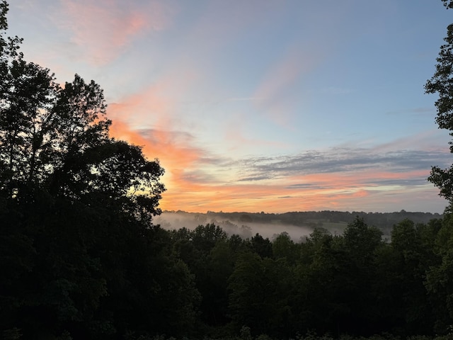 779 Dogwood Dr, Erin, TN 37061 - mountain view with a forest