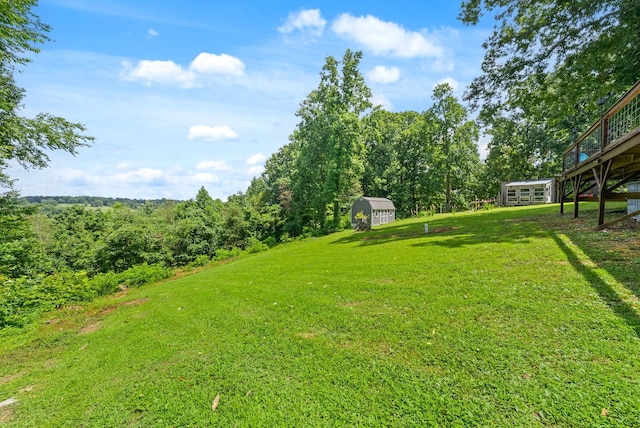779 Dogwood Dr, Erin, TN 37061 - view of green lawn with a shed