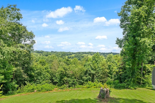 779 Dogwood Dr, Erin, TN 37061 - view of green lawn featuring a forest view