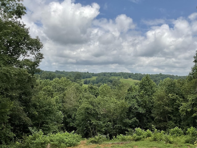 779 Dogwood Dr, Erin, TN 37061 - view of tree filled area