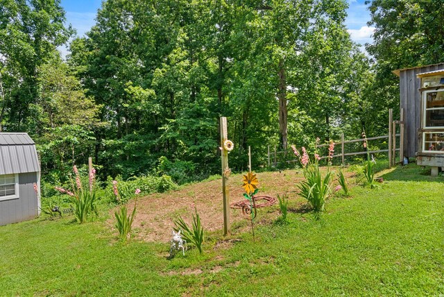 779 Dogwood Dr, Erin, TN 37061 - view of yard with a storage shed