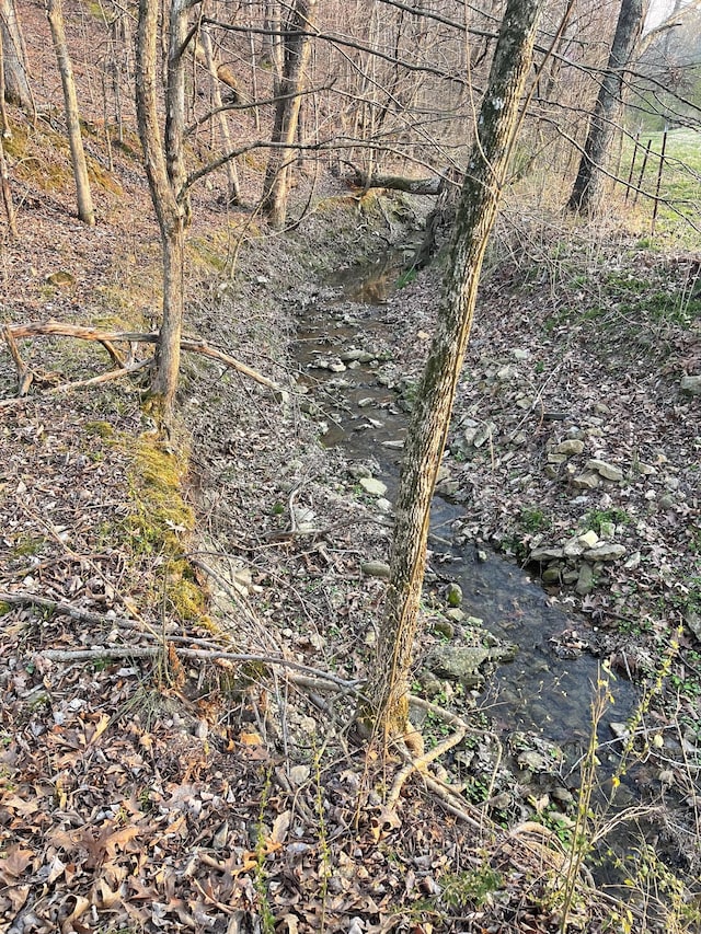 779 Dogwood Dr, Erin, TN 37061 - view of nature