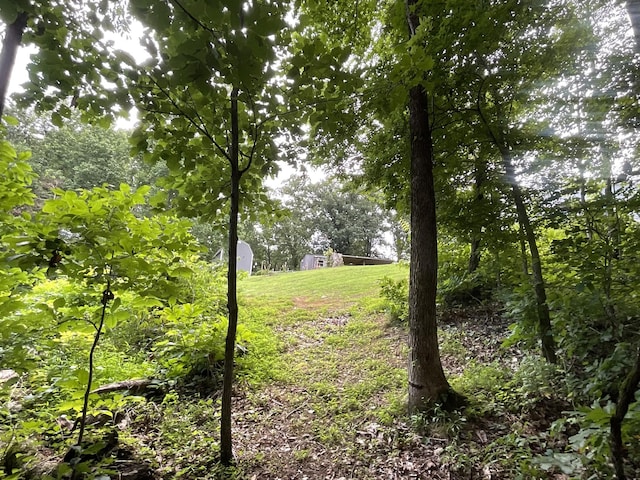 779 Dogwood Dr, Erin, TN 37061 - view of grassy yard