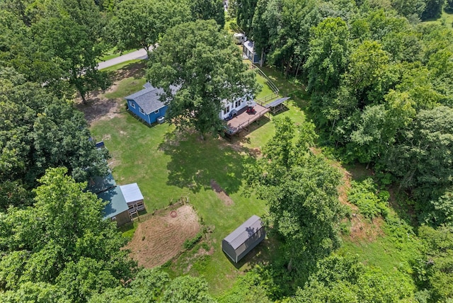 779 Dogwood Dr, Erin, TN 37061 - drone / aerial view