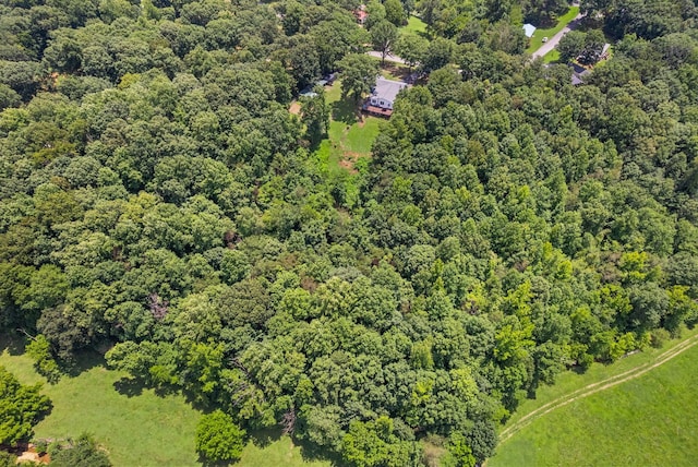 779 Dogwood Dr, Erin, TN 37061 - bird's eye view of a forest