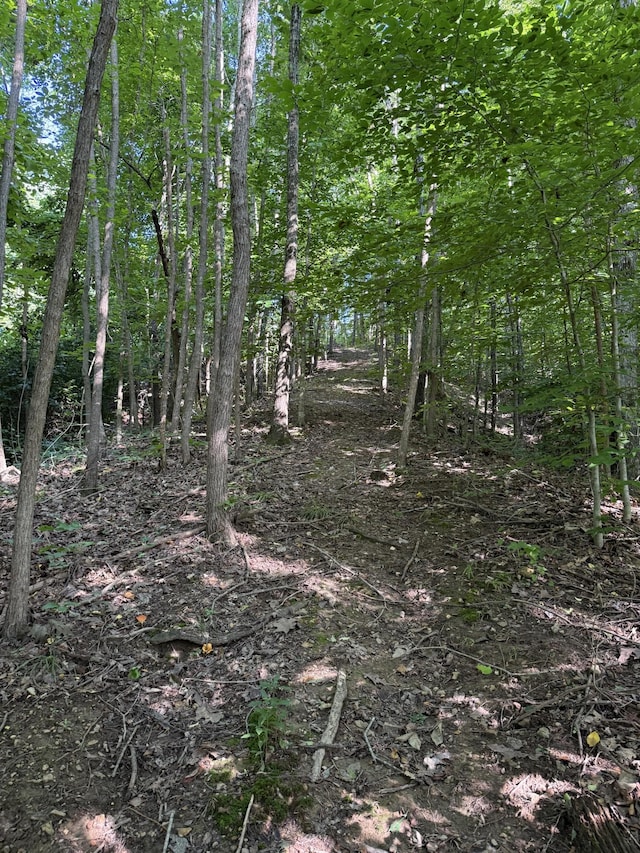 779 Dogwood Dr, Erin, TN 37061 - view of nature
