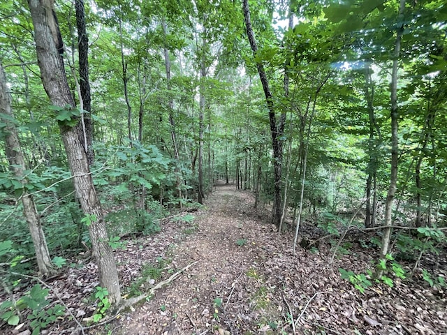 779 Dogwood Dr, Erin, TN 37061 - view of tree filled area
