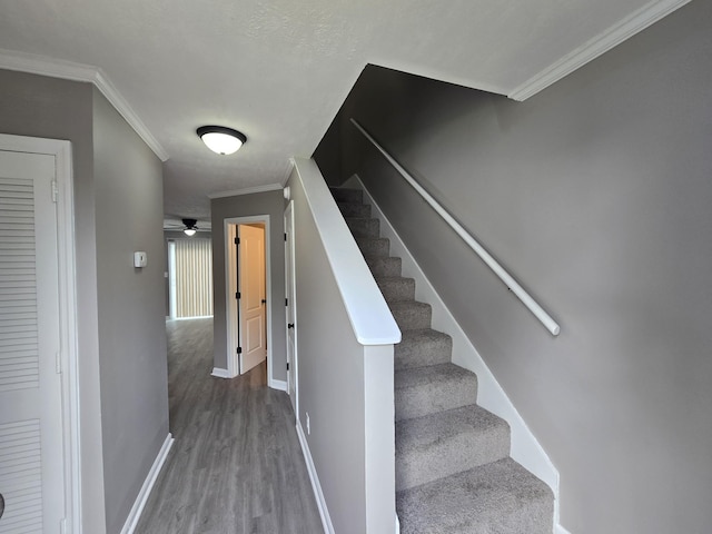 112 Greenland Ct, Clarksville, TN 37042 - photo 2