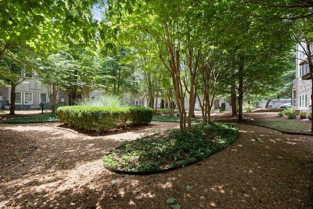 320 Old Hickory Blvd, Nashville, TN 37221 - photo 44