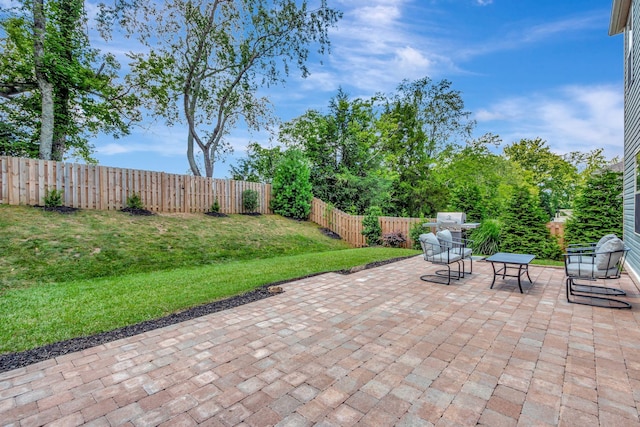 4112 Cadence Dr, Spring Hill, TN 37174 - fenced backyard featuring a patio area and a grill