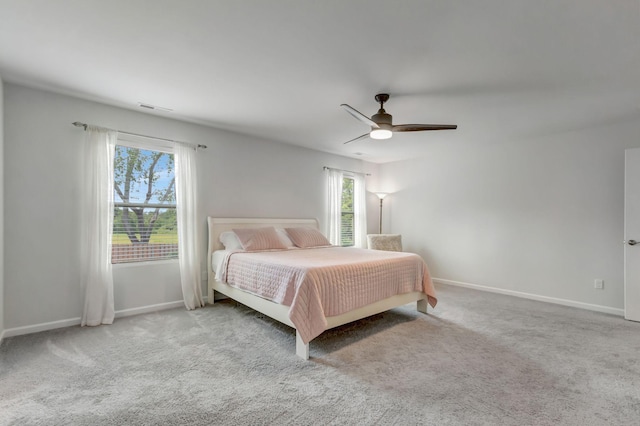 4112 Cadence Dr, Spring Hill, TN 37174 - carpeted bedroom with multiple windows and ceiling fan