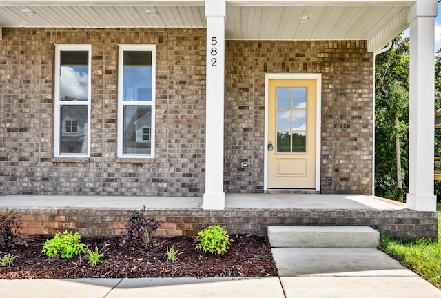 582 Pongracz Way, Clarksville, TN 37042 - entrance to property featuring a porch