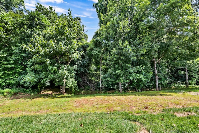 582 Pongracz Way, Clarksville, TN 37042 - view of undeveloped land