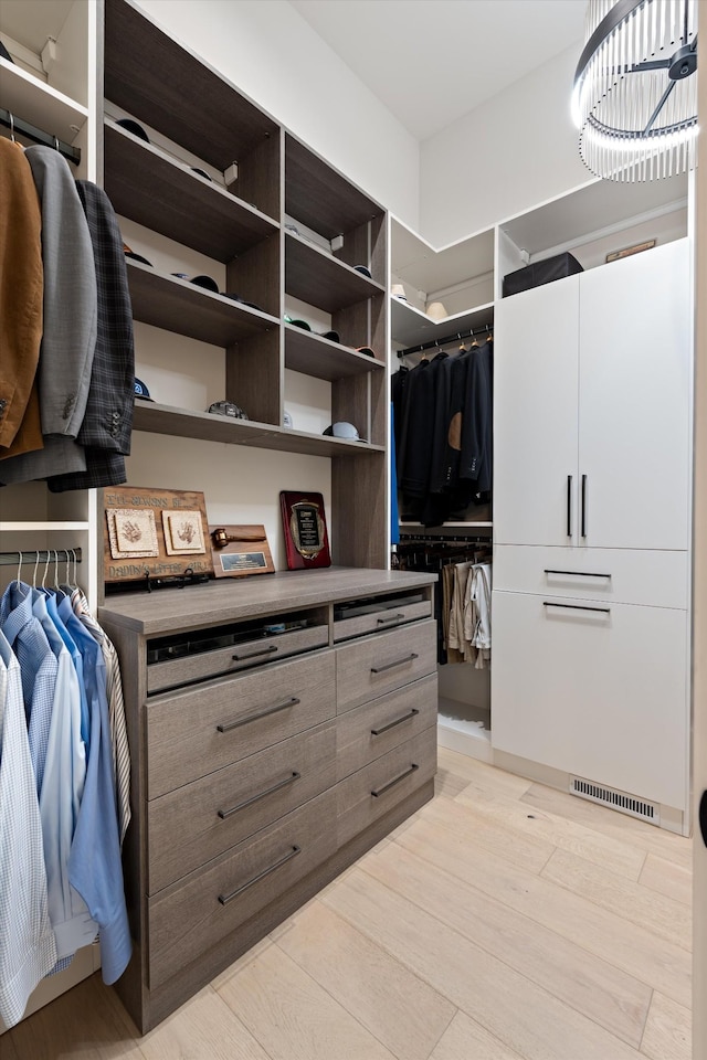 8227 Heirloom Blvd, College Grove, TN 37046 - walk in closet with light wood-style floors