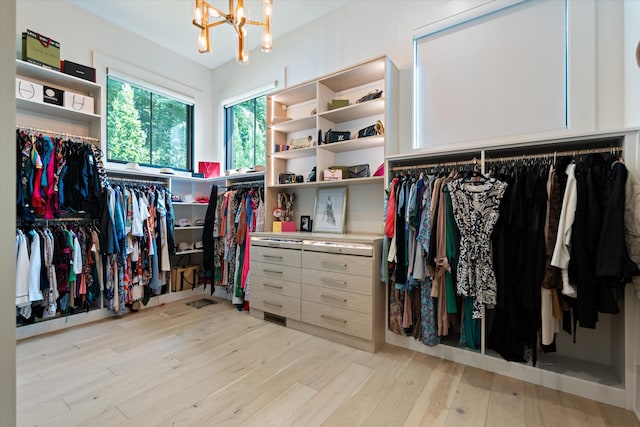 8227 Heirloom Blvd, College Grove, TN 37046 - spacious closet featuring a chandelier and light wood-style flooring